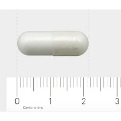AOV 604 L-Carnosine (250 Mg) -Verzorgingsproducten 1029449 4
