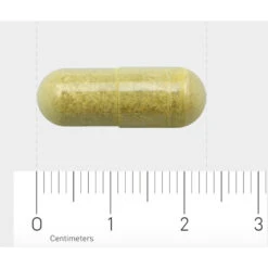 AOV 816 Quercetine-extract (500 Mg) -Verzorgingsproducten 1030206 4
