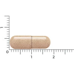 Vitakruid Lactoferrine 150 Mg -Verzorgingsproducten 1054157 4