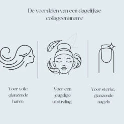 Premium Collageen Hydrolysaat Poeder Met Vitamine C En Hyaluronzuur Sinaasappelsmaak 9 Premium Collageen Hydrolysaat Poeder Met Vitamine C En Hyaluronzuur Sinaasappelsmaak -Verzorgingsproducten 1055226 4