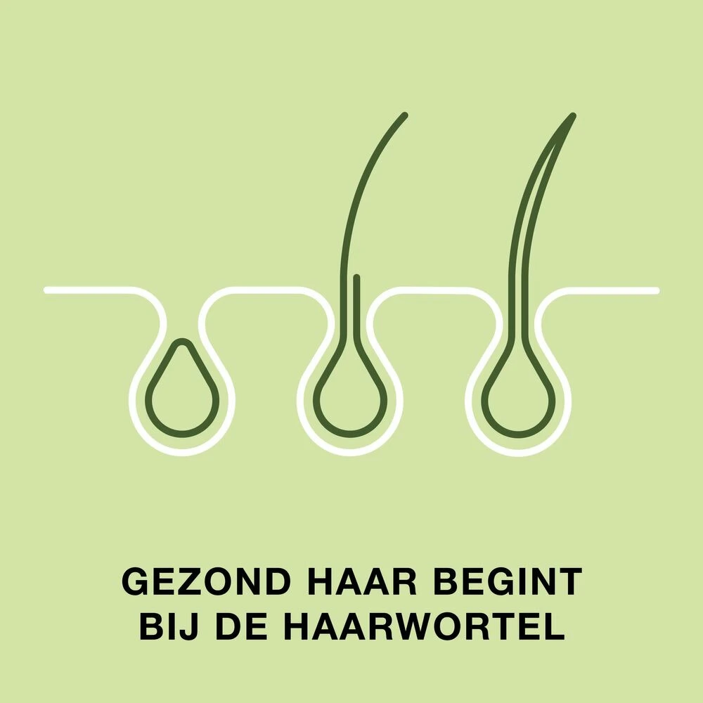 Priorin Haar 6 Priorin Haar - Afbeelding 4