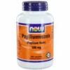 NOW Psylliumvezels 500 Mg -Verzorgingsproducten 711990