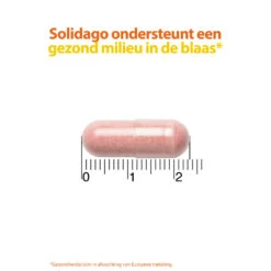 Roter Cystiberry 9 Roter Cystiberry -Verzorgingsproducten 962280 4